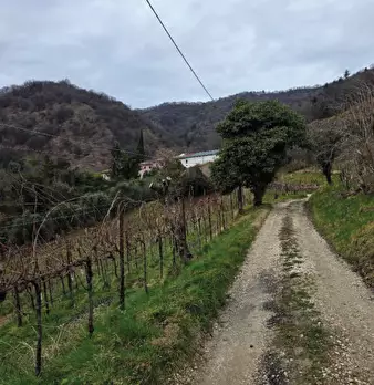 Foto annuncio 27