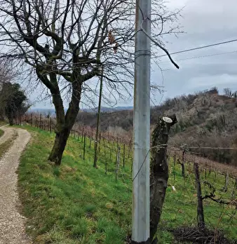 Foto annuncio 28