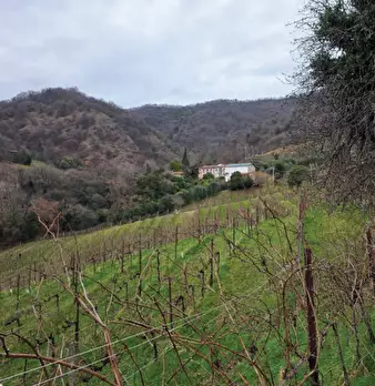 Foto annuncio 29