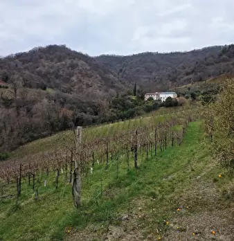 Foto annuncio 30