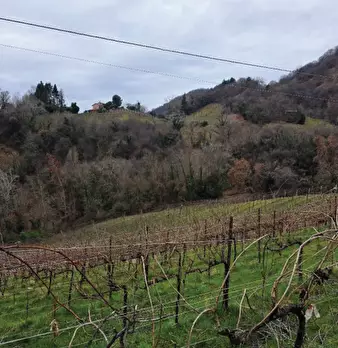Foto annuncio 33