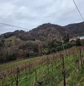 Foto annuncio 34