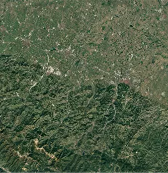 Foto annuncio 20