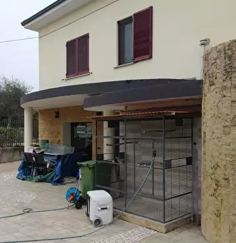 Foto annuncio 12