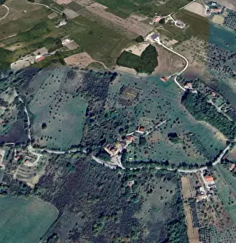 Foto annuncio 7