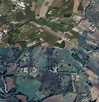 Foto annuncio 8