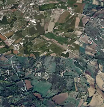 Foto annuncio 9