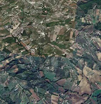 Foto annuncio 10