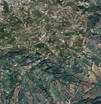 Foto annuncio 11
