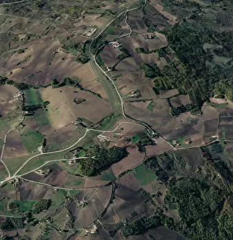 Foto annuncio 8