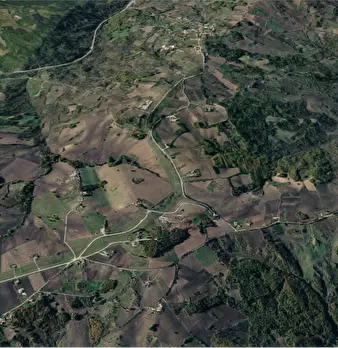 Foto annuncio 9