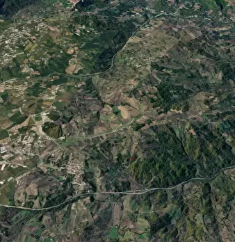 Foto annuncio 11