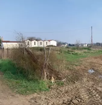 Foto annuncio 5