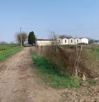 Foto annuncio 6