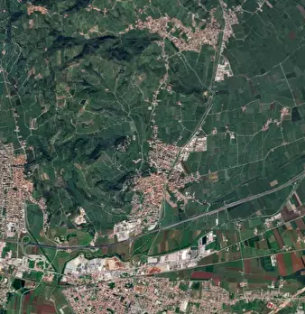Foto annuncio 18