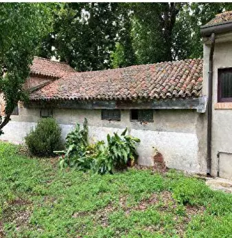 Foto annuncio 7