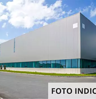 Foto annuncio 10