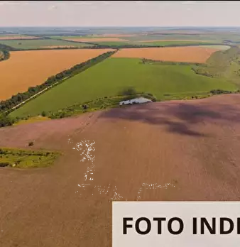 Foto annuncio 8