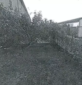 Foto annuncio 10