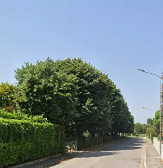 Foto annuncio 22