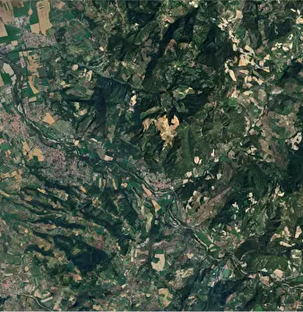 Foto annuncio 11
