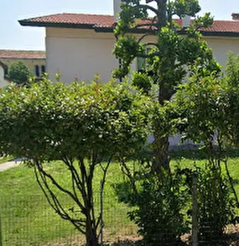 Foto annuncio 5