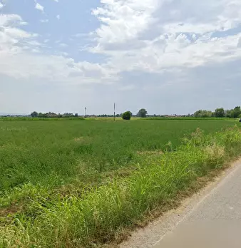 Foto annuncio 4