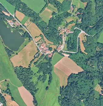 Foto annuncio 1