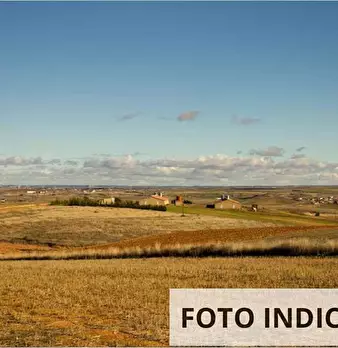 Foto annuncio 13