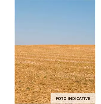Foto annuncio 14