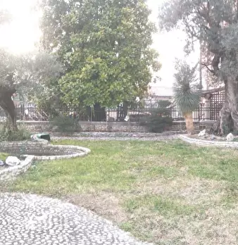 Foto annuncio 5