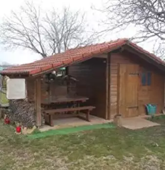 Foto annuncio 10