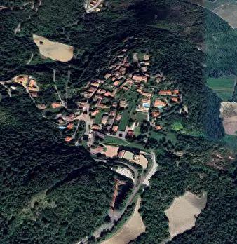 Foto annuncio 9