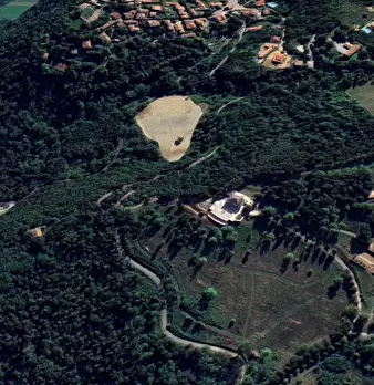 Foto annuncio 10