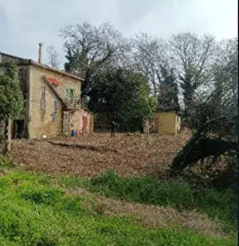 Foto annuncio 6