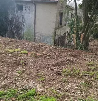 Foto annuncio 12