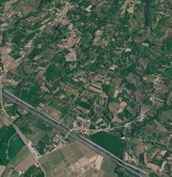 Foto annuncio 19