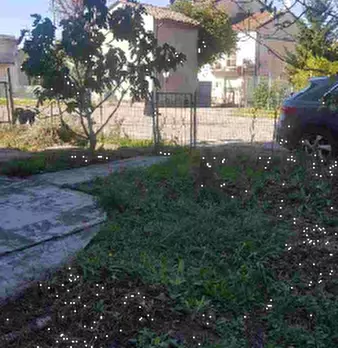 Foto annuncio 12