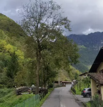 Foto annuncio 6