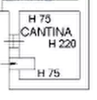 Foto annuncio 14