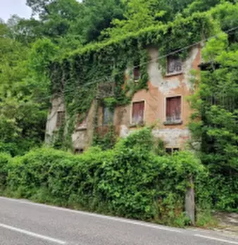 Foto annuncio 2