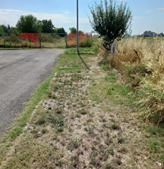 Foto annuncio 3