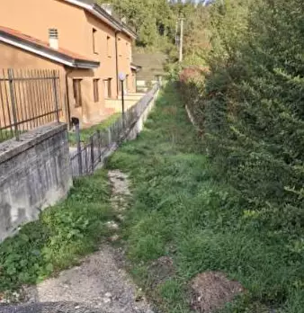 Foto annuncio 7
