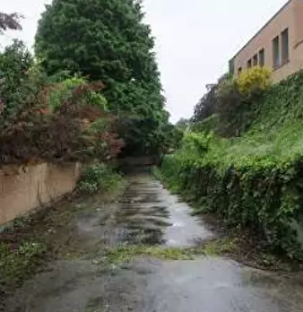 Foto annuncio 11