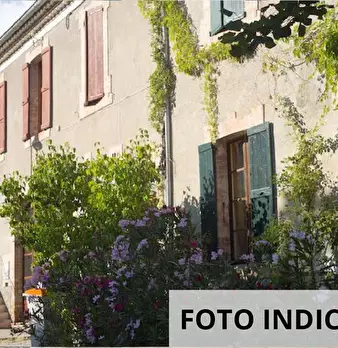 Foto annuncio 25