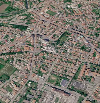 Foto annuncio 9
