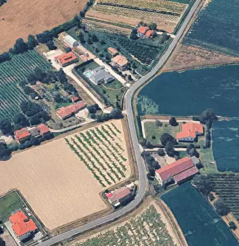 Foto annuncio 7
