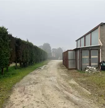 Foto annuncio 5