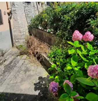 Foto annuncio 7
