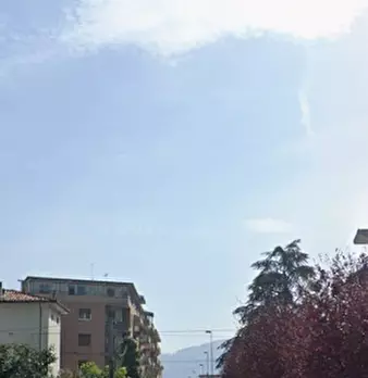 Foto annuncio 14